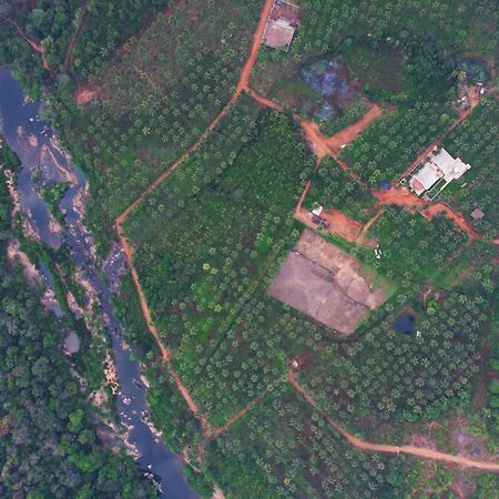 Beautiful Farm House & Villa - Monappa Estate - Top Rated Udupi Dış mekan fotoğraf