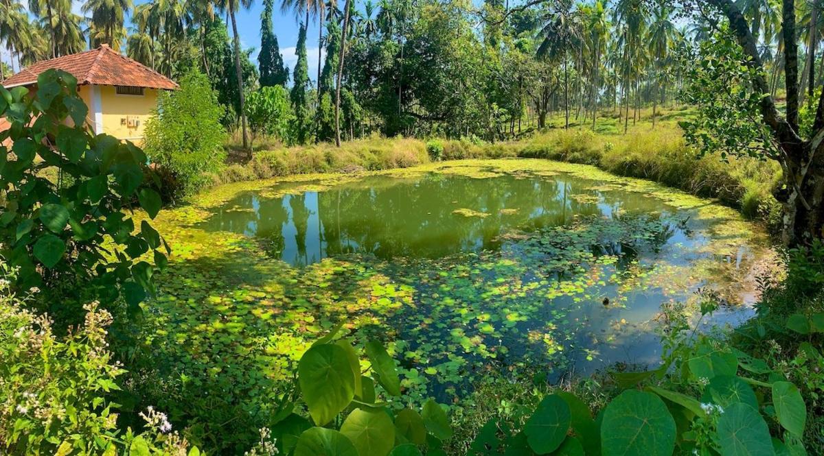 Beautiful Farm House & Villa - Monappa Estate - Top Rated Udupi Dış mekan fotoğraf